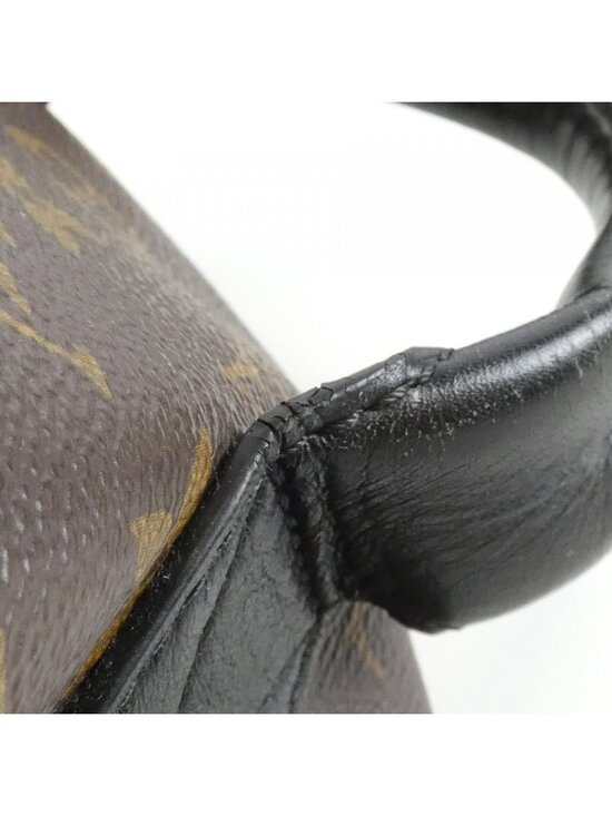 Louis Vuitton Monogram Palm Springs Backpack MM Sac main image 5